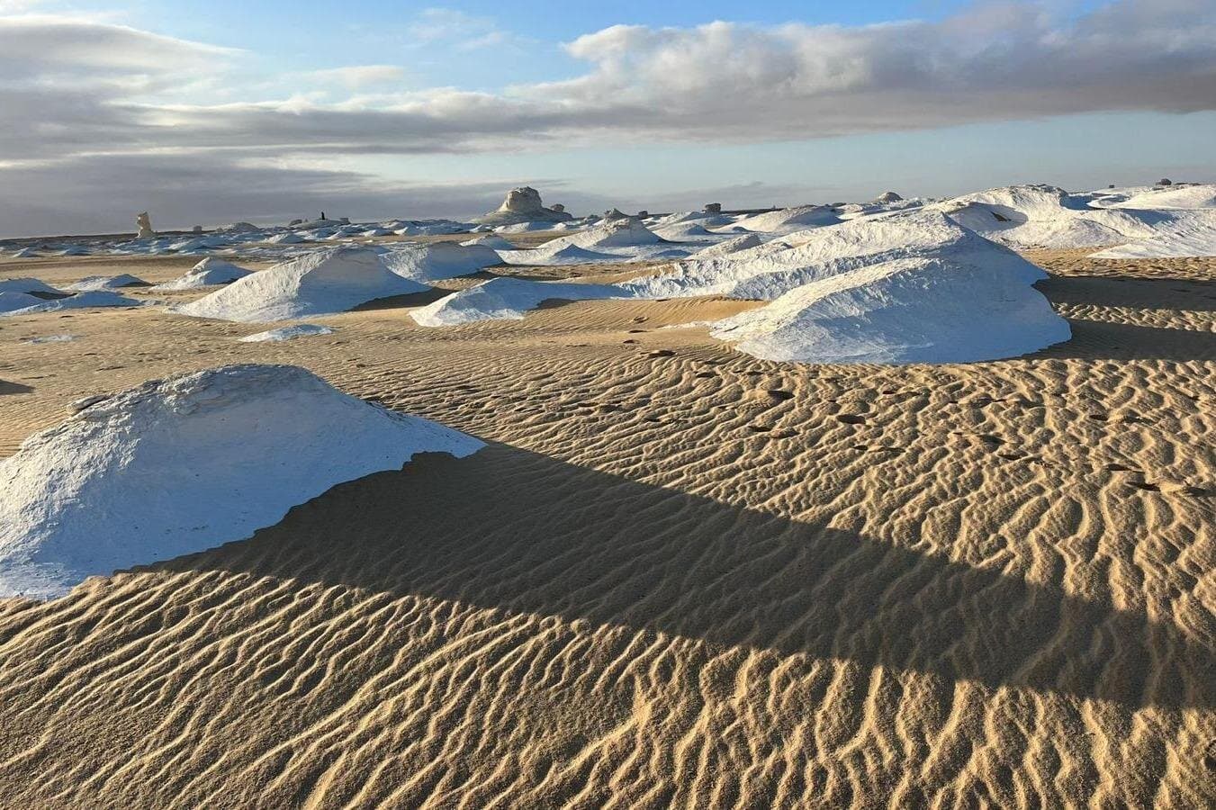 2 Days Tour in White Desert and Wadi El Hitan from Alexandria