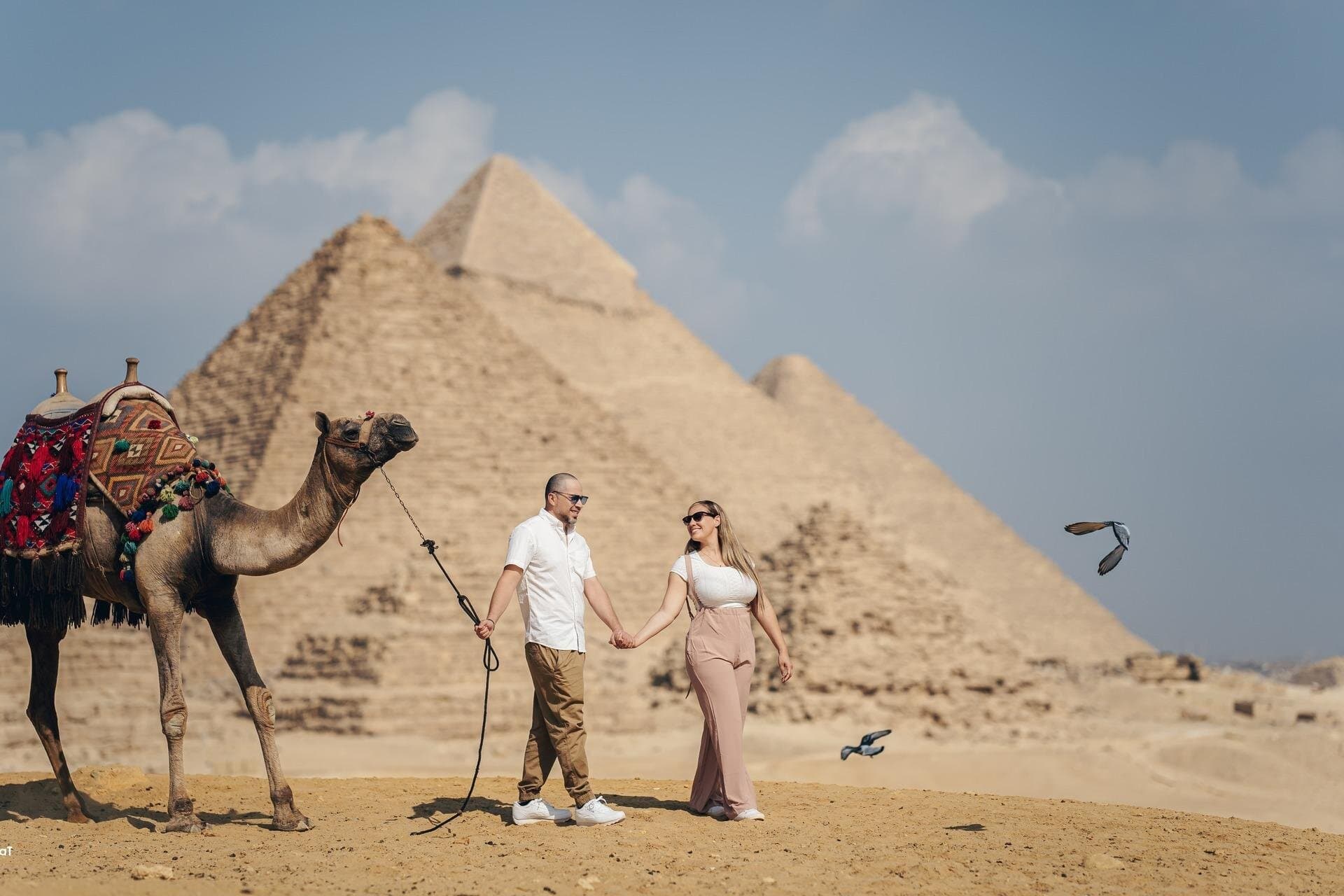Top Rated Giza Pyramids,Sphinx,Camel ride,lunch & inside pyramids