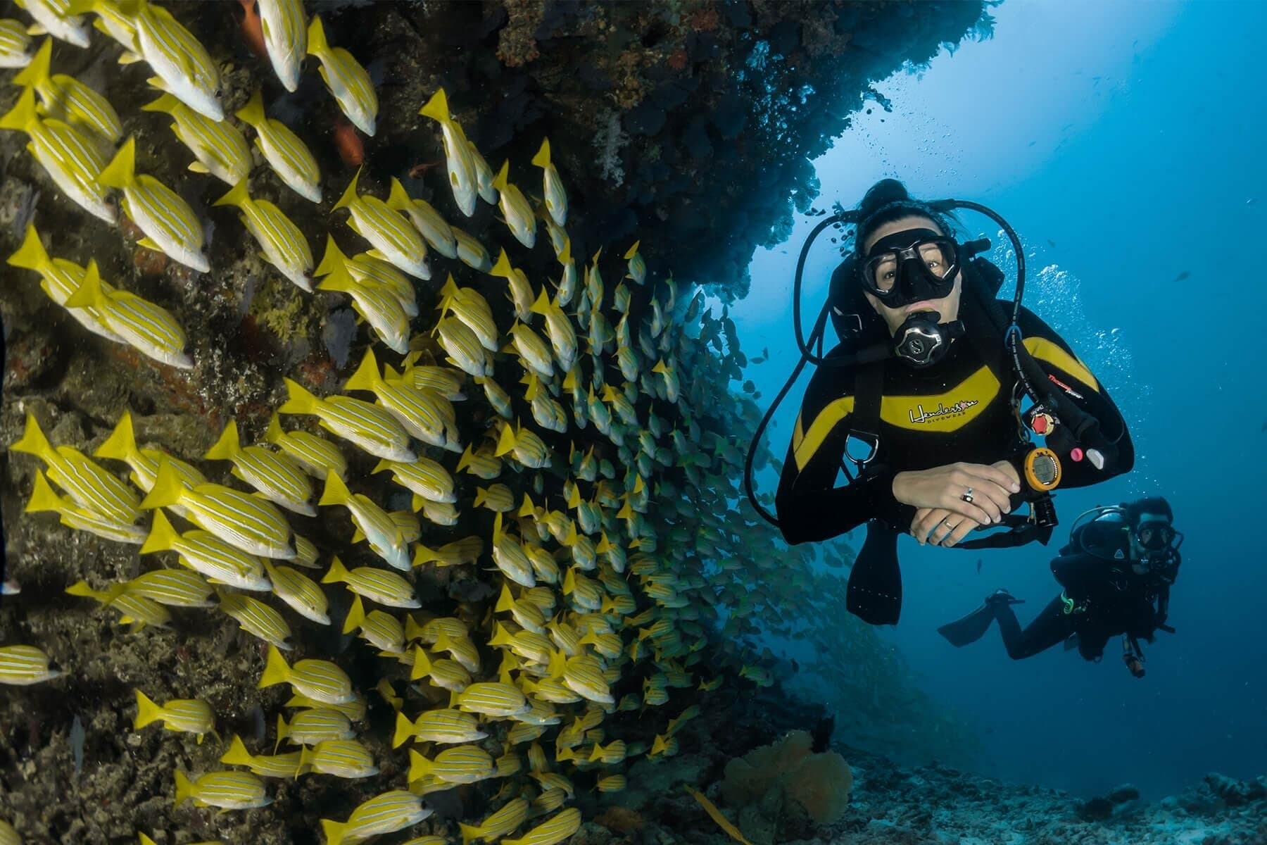 Scuba Review