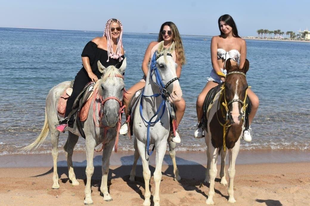 1 Hour Beach Horse Ride in Sharm El Sheikh