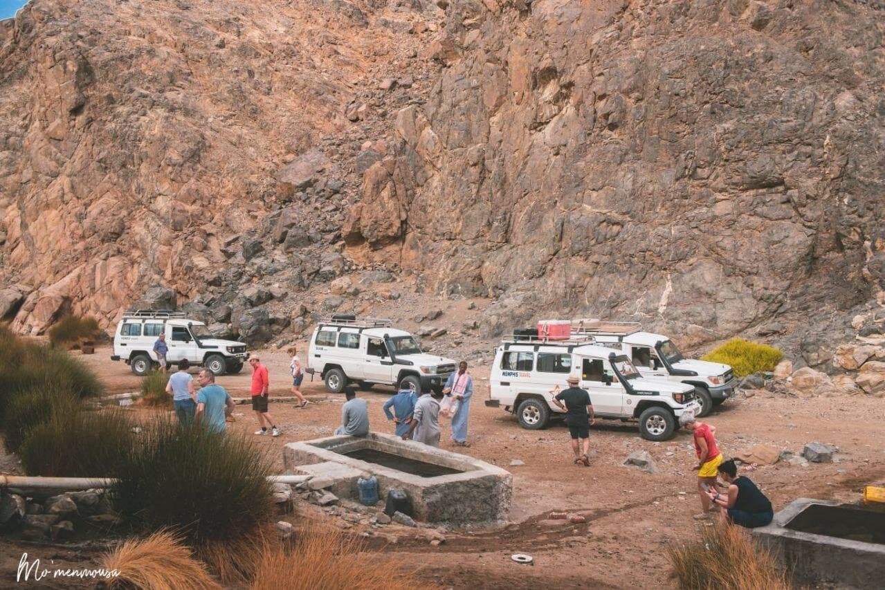 Desert Star Gazing Tour with Camel Ride and Dinner in Marsa Alam