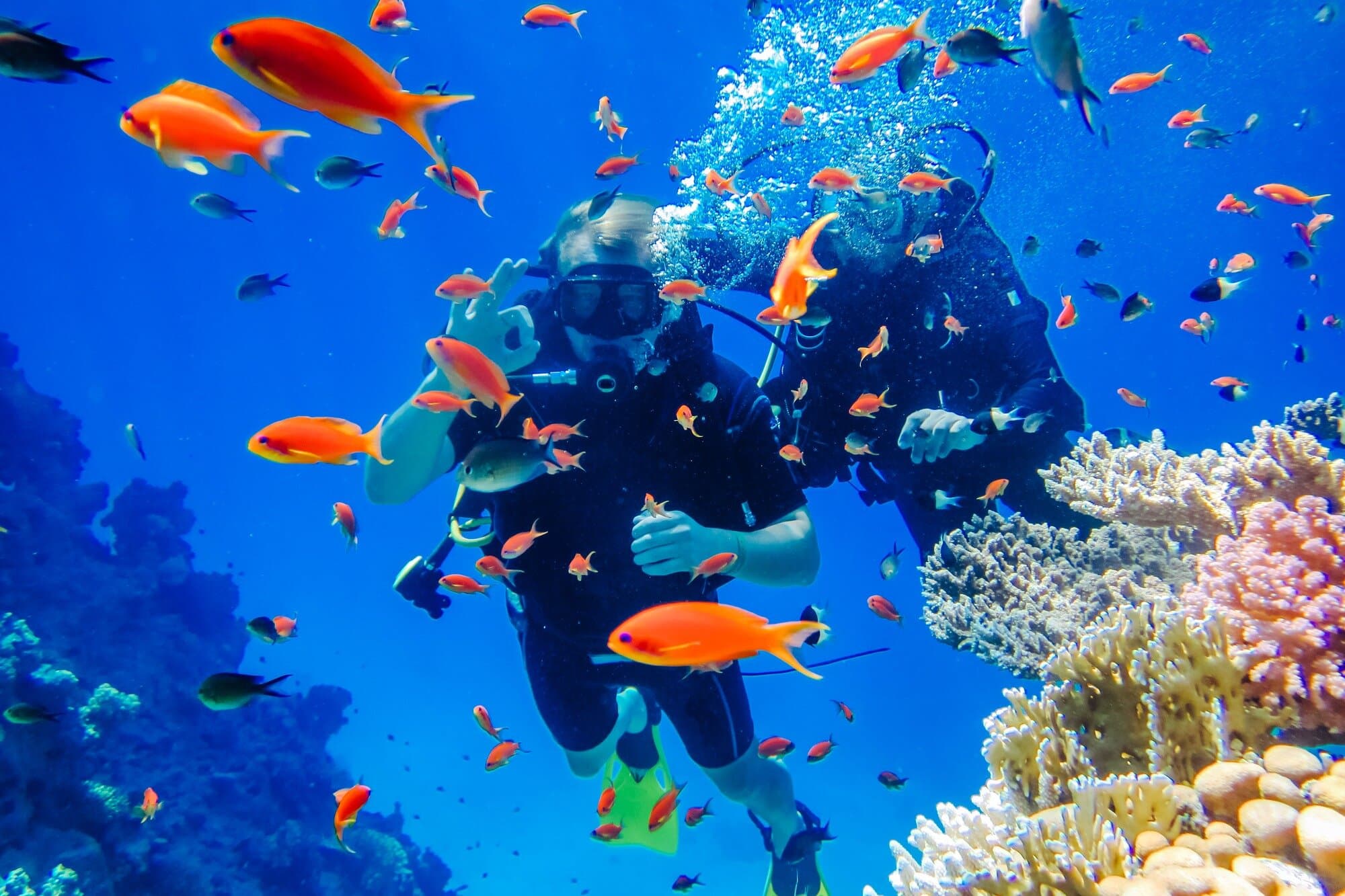 Sharm El Sheikh: White Island & Ras Mohammed Cruise with Lunch