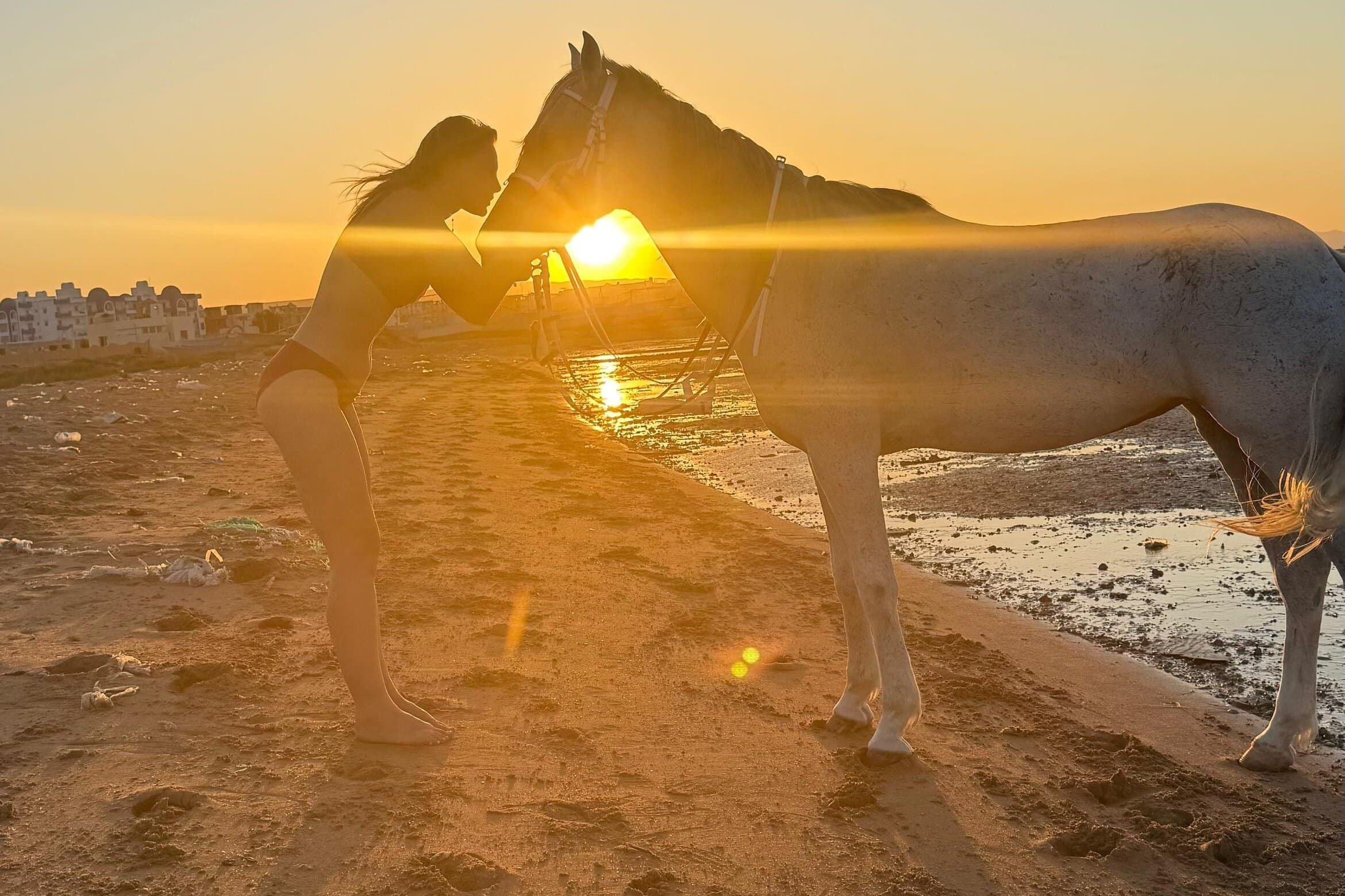 2 Hour Horse Riding Hurghada Desert with Beach Experience