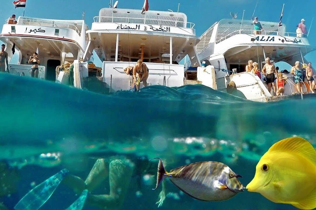 Explore the Red Sea: Hurghada Semi-Submarine Experience
