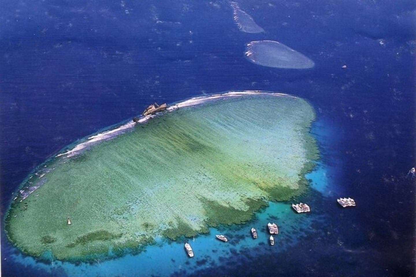 Tiran Island Snorkeling , Diving Cruise & Lunch - Sharm El Sheikh