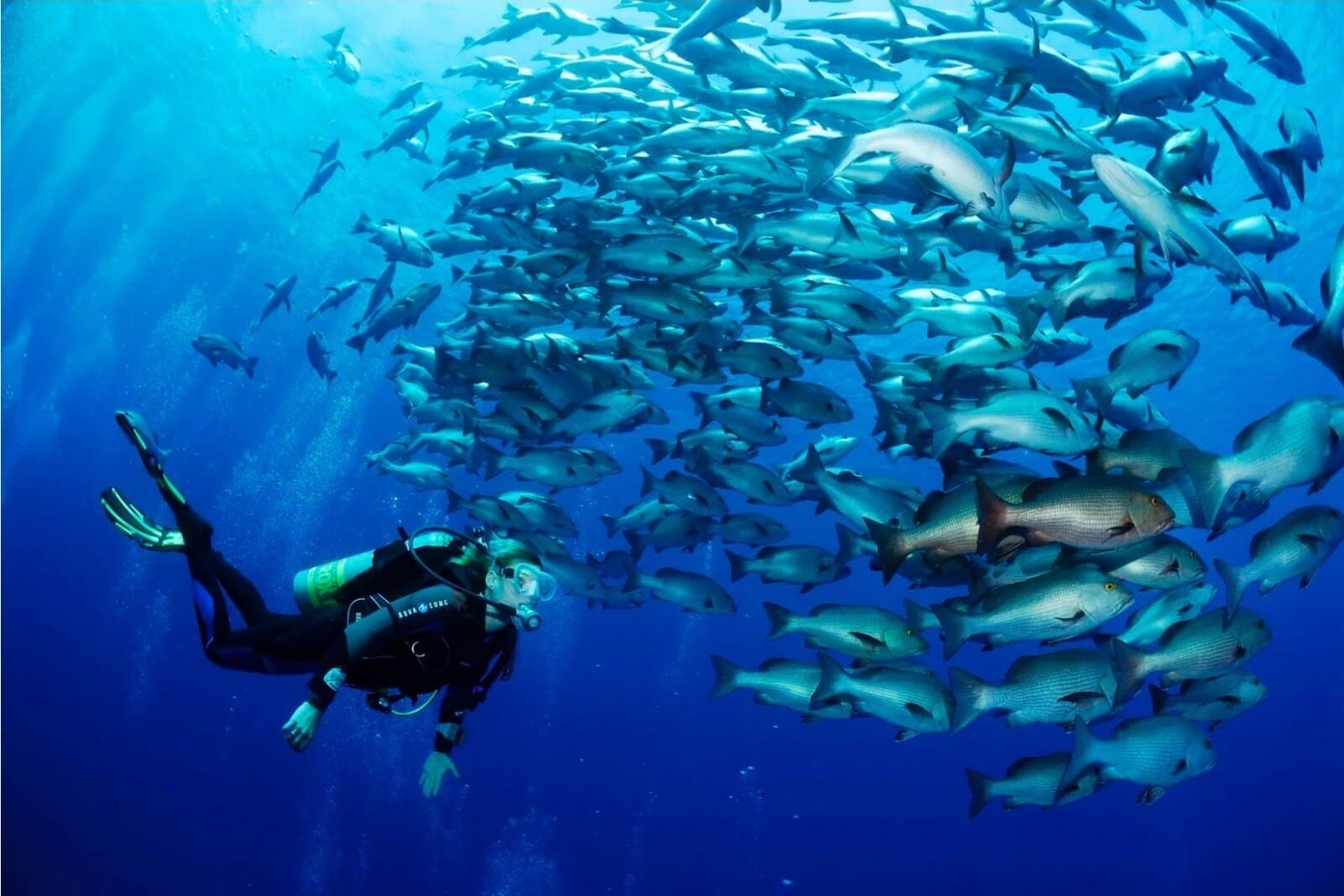 PADI Advanced Open Water Diver Course