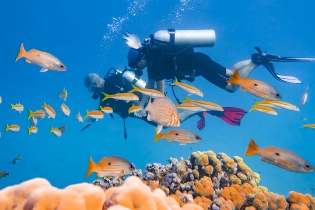 Hurghada - Scuba Diving for Beginners 2 Dives, Lunch & Transfer