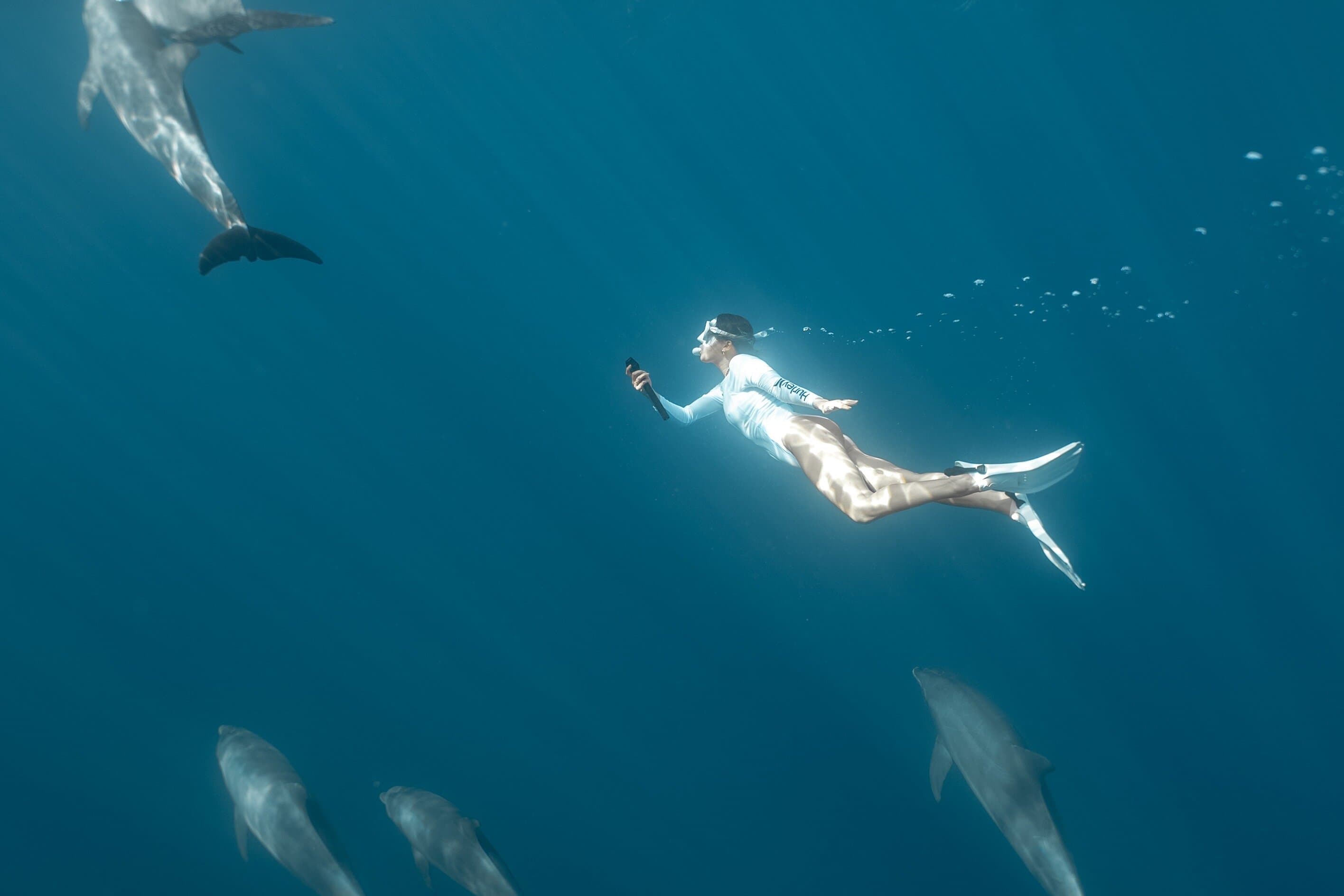 Private Speedboat Tour: Swim with Dolphins, Snorkeling - Hurghada