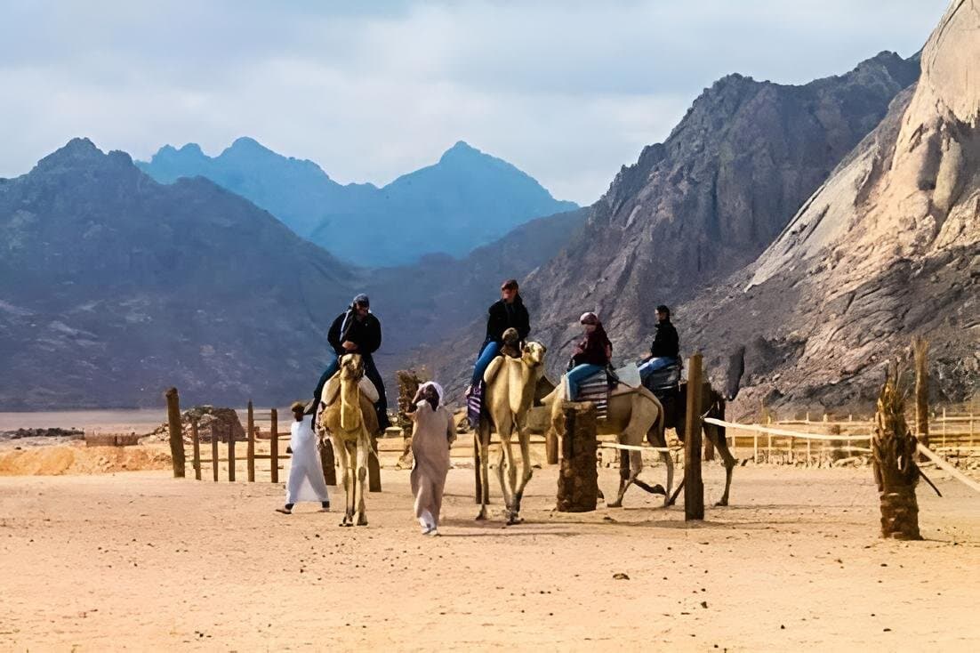Hurghada - One Hour Camel Ride Desert in Including Hotel Transfer