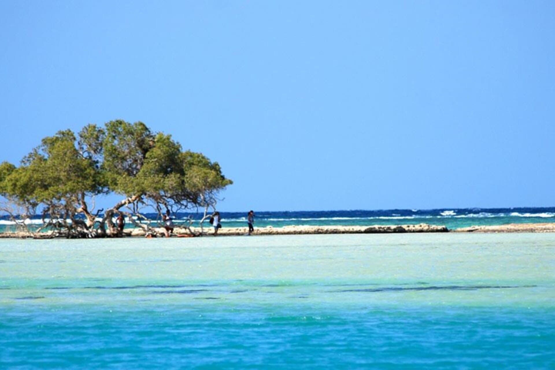 Marsa Mubarak Boat Trip Snorkeling with Lunch : Marsa Alam