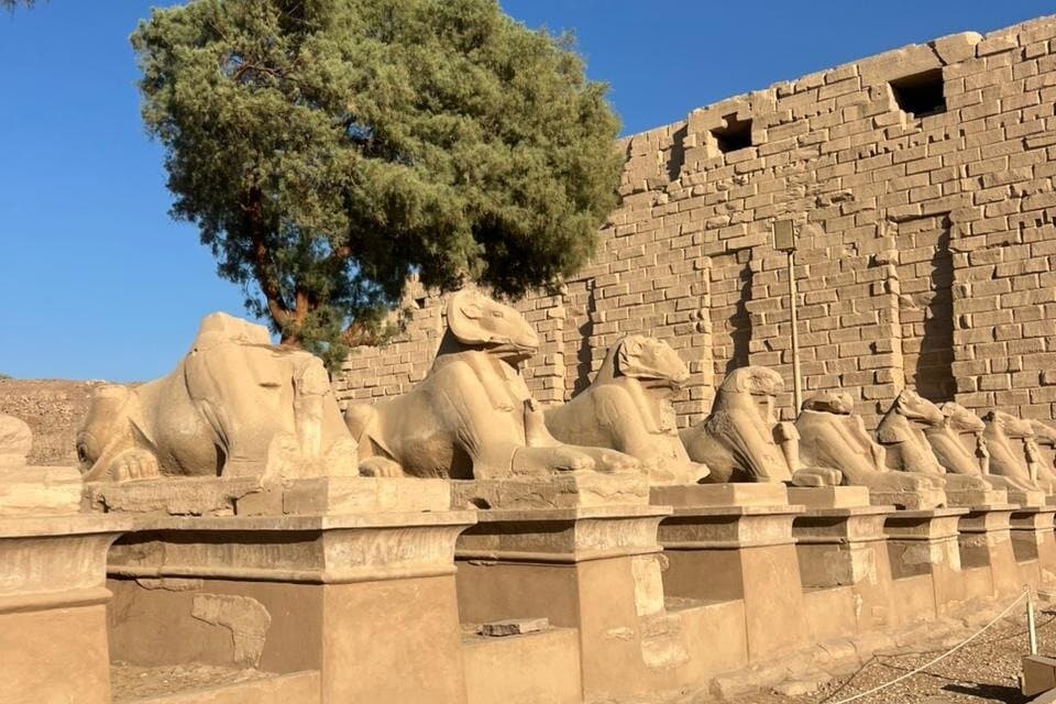 Private Luxor East Bank Tour Karnak and Luxor Temple with Pickup
