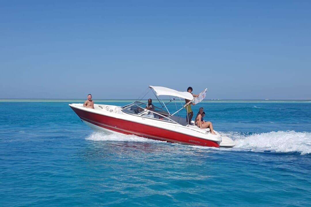 Private Speed Boat Adventure in Sharm El Sheikh