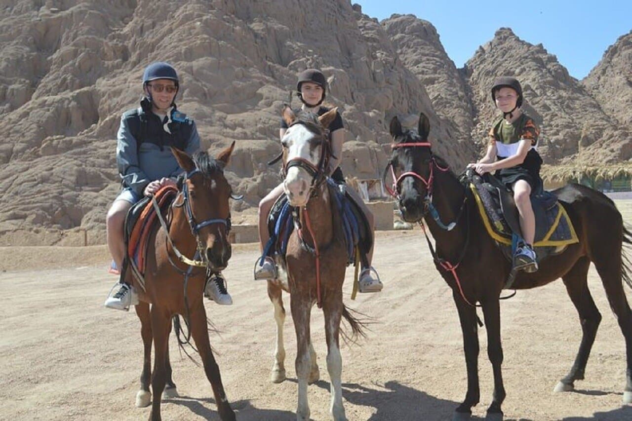 2H Sunrise Horse Ride Beach and Desert with Transfer : Hurghada