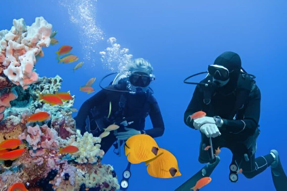 3 Days PADI Open Water Diving Course with Boat Dives Hurghada