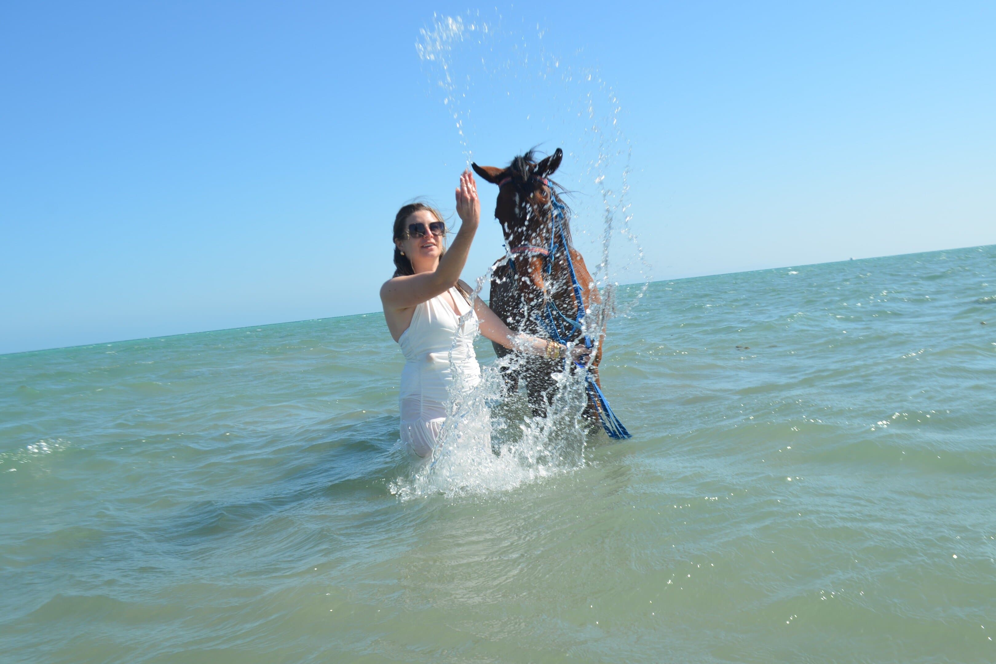Hurghada Beach Desert Horseback Riding Experience