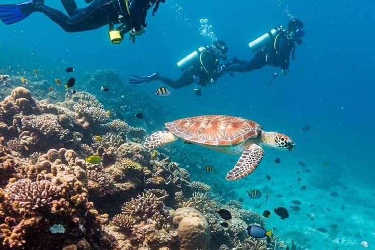 Red Sea Scuba Diving Adventure from Hurghada with Lunch Transfers