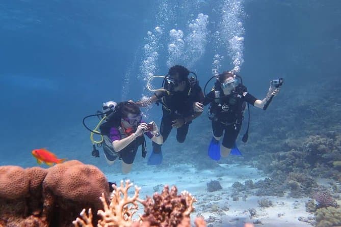 Day Scuba diving trip from Hurghada