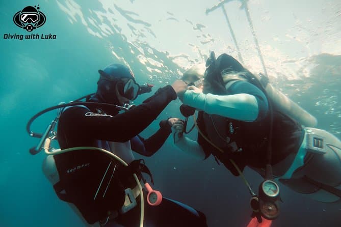 Giornata intera di immersioni con guida privata, pranzo, bevande e trasporto