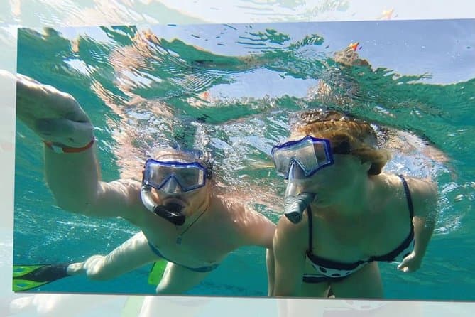 Giftun Island Snorkeling Day Trip From El Gouna