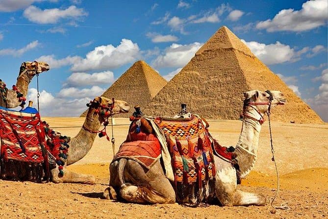 Full Day Tour to Pyramids of Giza, Saqqara Step Pyramids & Sound and Light Show