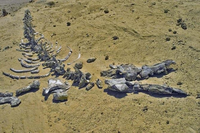Day Tour to El Fayoum Pyramids From Cairo or Giza
