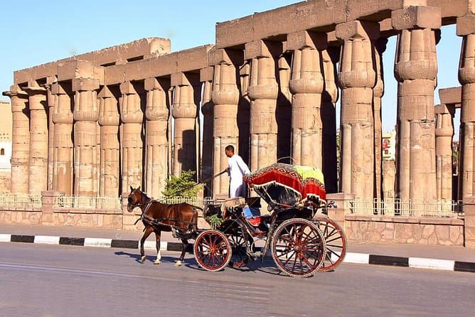 جولة خاصة 3 ساعات في مدينة الأقصر بعربة الخيل