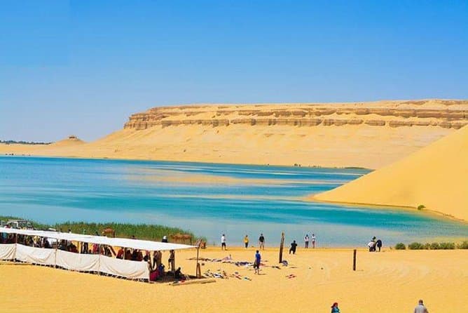Fayoum oasis Whales valley & Waterfalls day tour