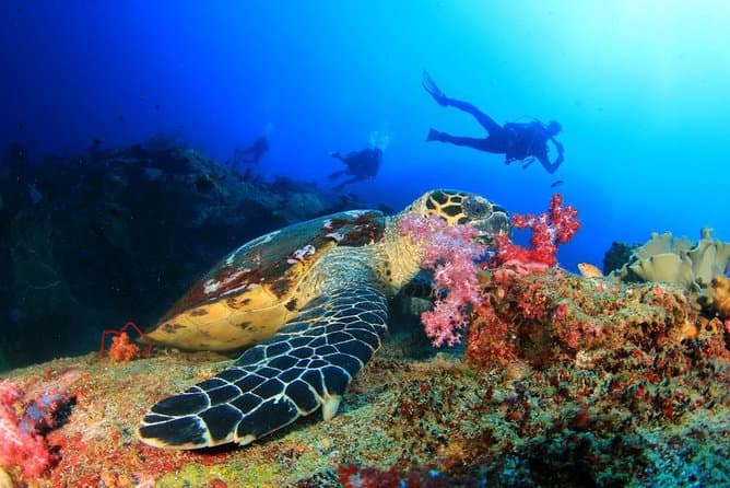 Scuba Diving from Hurghada