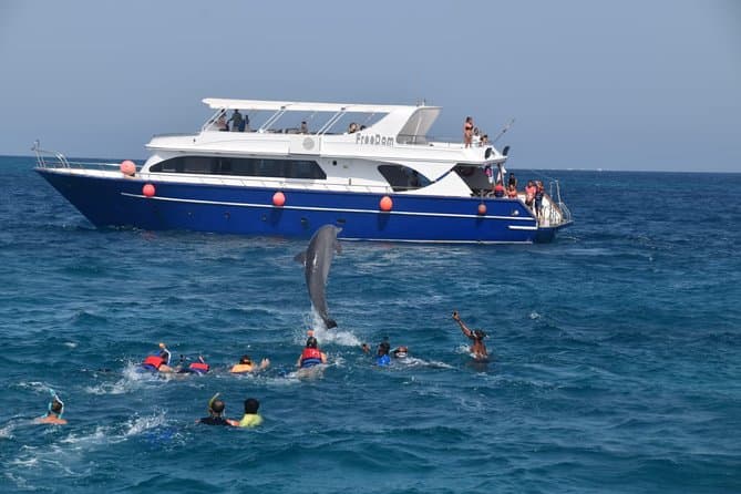 Casa del delfín con almuerzo en barco desde Hurghada