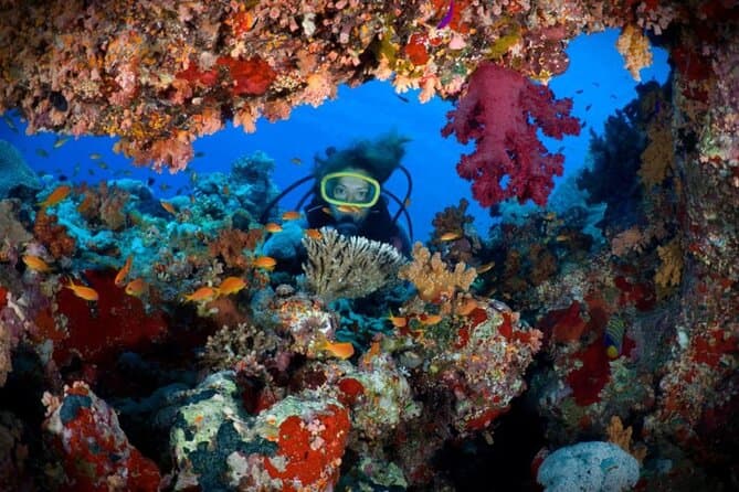 Hurghada Boat Trip with 2 Coral Reef Diving Stops