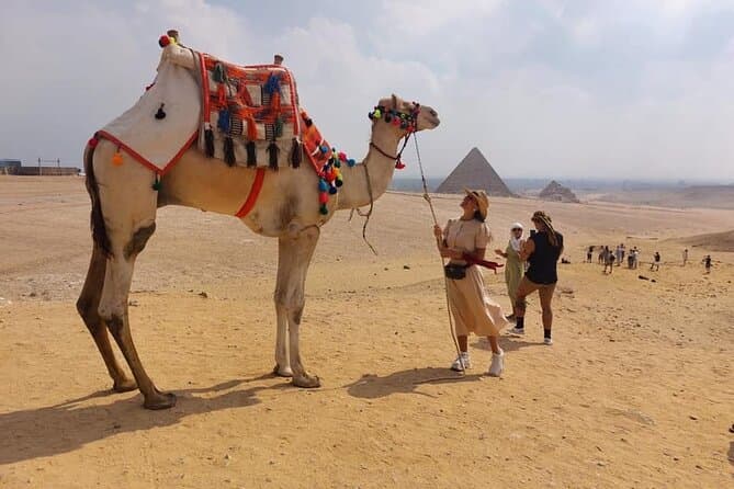 private Taxi from the airport to Giza pyramids and Sphinx
