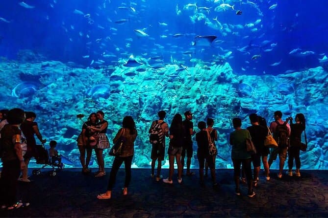 Grand Aquarium de Hurghada : entrée coupe-file et transfert