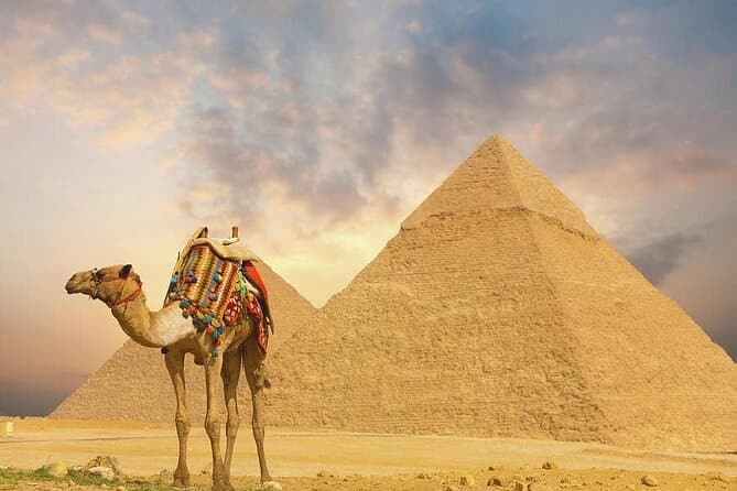 Private Camel Ride Adventure in Giza Pyramids And Egyptian Museum