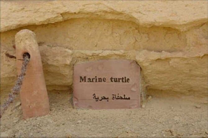 Day Tour to Fayoum from Cairo