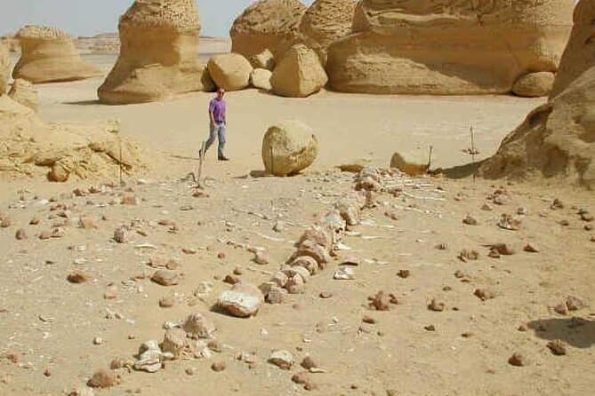 Day Tour to EL Fayoum From Cairo