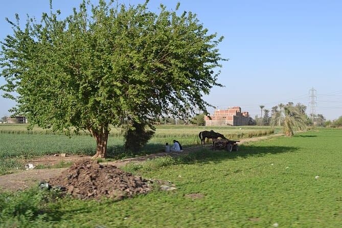 Half-Day Tour To The Egyptian Green Farm With Breakfast
