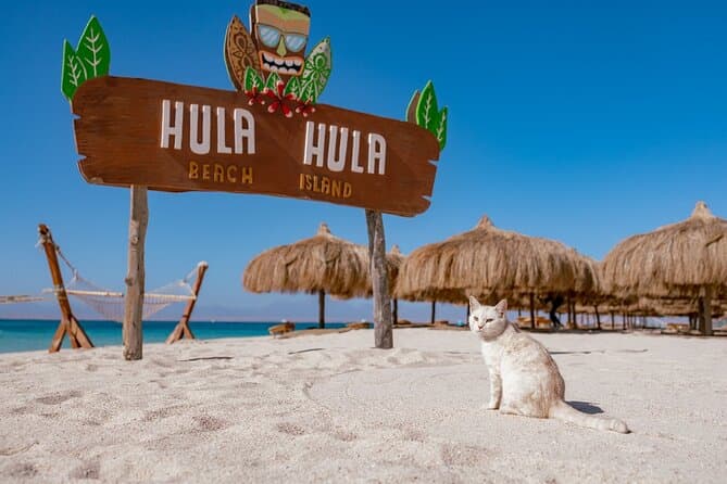 Hula Hula Island Snorkeling Sea Trip with Lunch - Hurghada