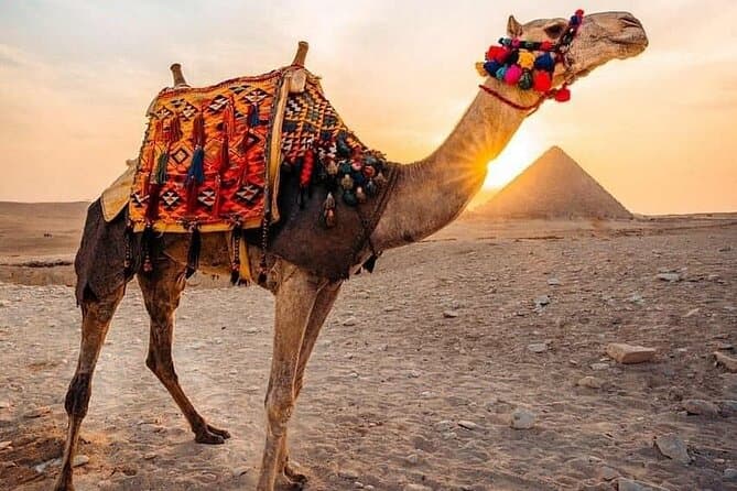 Pyramids Camel Ride from Cairo