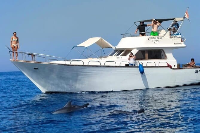 ¡PRIVADO! | Excursión en barco charter de día completo| Hasta 14 | Tour de Snorkel e Islas