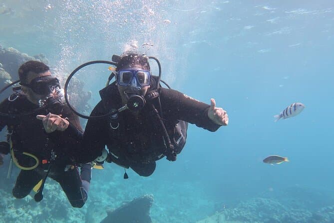 Hurghada Scuba Diving Full Day Boat Trip 2 Stops Diving & Lunch