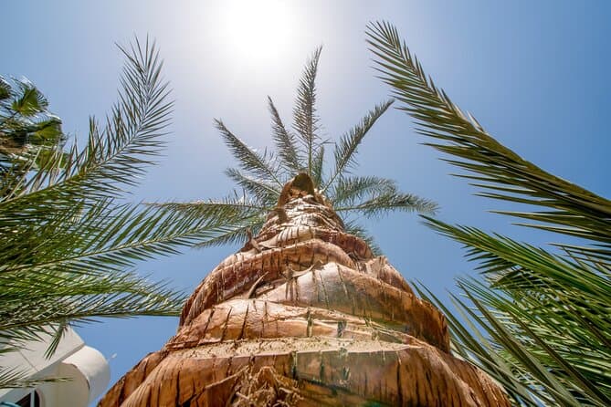 Hurghada : Private Stadtführung mit Shopping Stops
