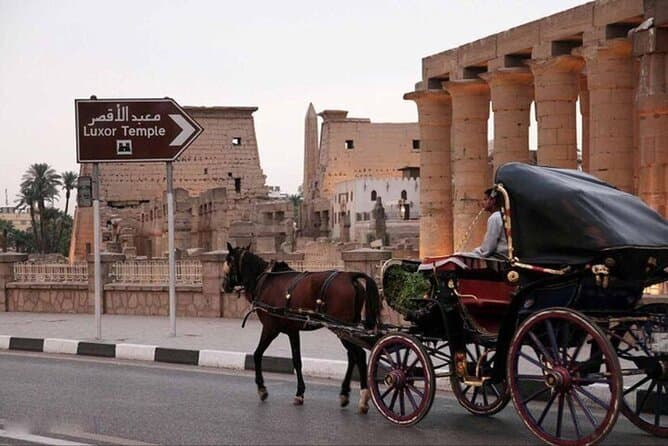 Explore Luxor City on a Horse Carriage Tour