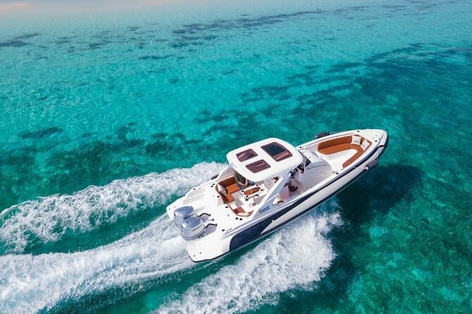 Dolphin Swim: Private 4-Hour Speedboat (hotel Transfers Included)