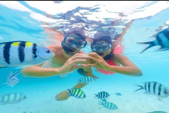 Giftun Island hula hula or Orange Bay Boat Trip Snorkeling &lunch