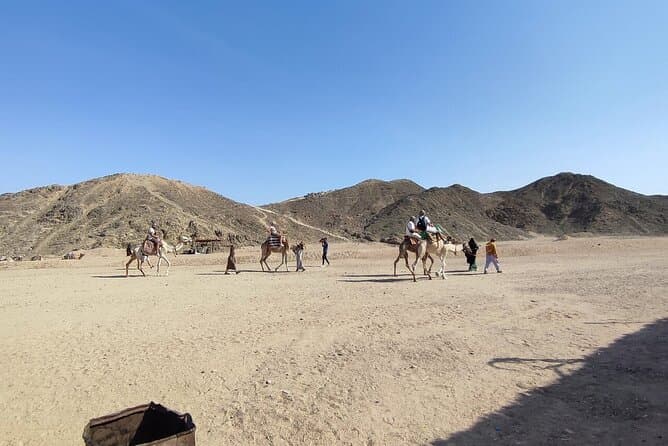Hurghada Safari ATV, Buggy, Camel Ride, Dinner And Show