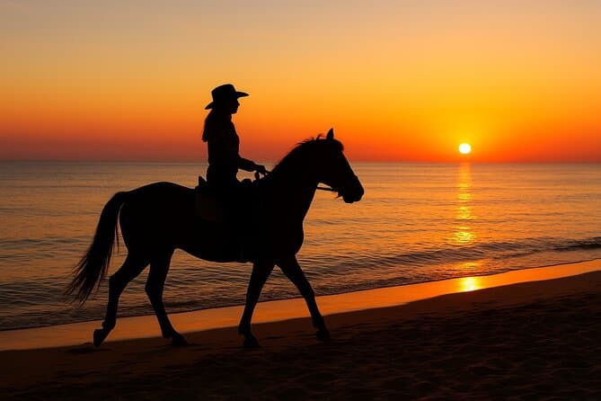 Horse Riding Camel Ride Desert Sea Swimming Flexible Programs