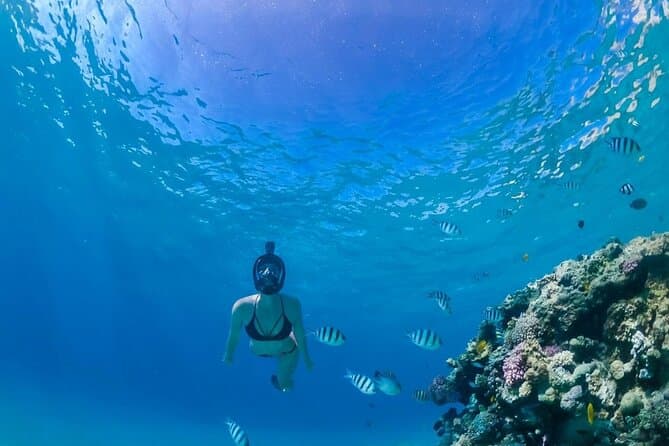 Hurghada Full Day Snorkeling Trip with Lunch Drinks Transfer