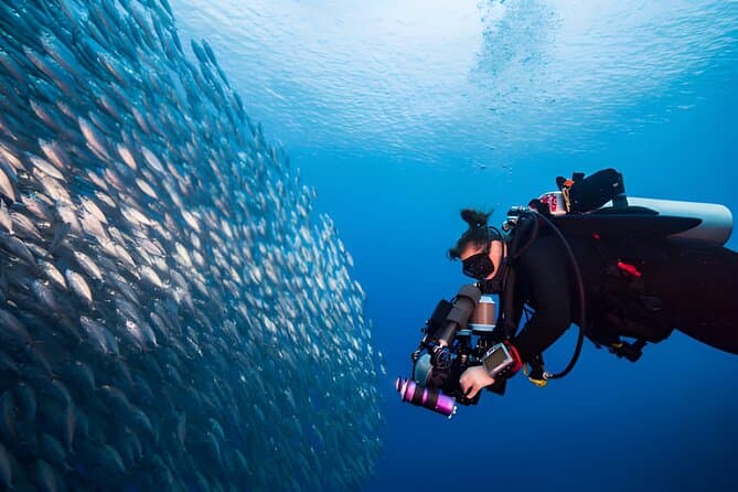 Immersioni subacquee: gita in barca di un'intera giornata con pranzo e transfer da Hurghada