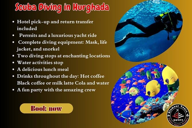 Full Day Scuba Diving in Hurghada