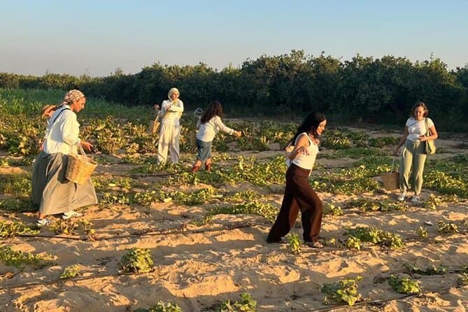 Experience Egyptian Farm Life at Rahaya